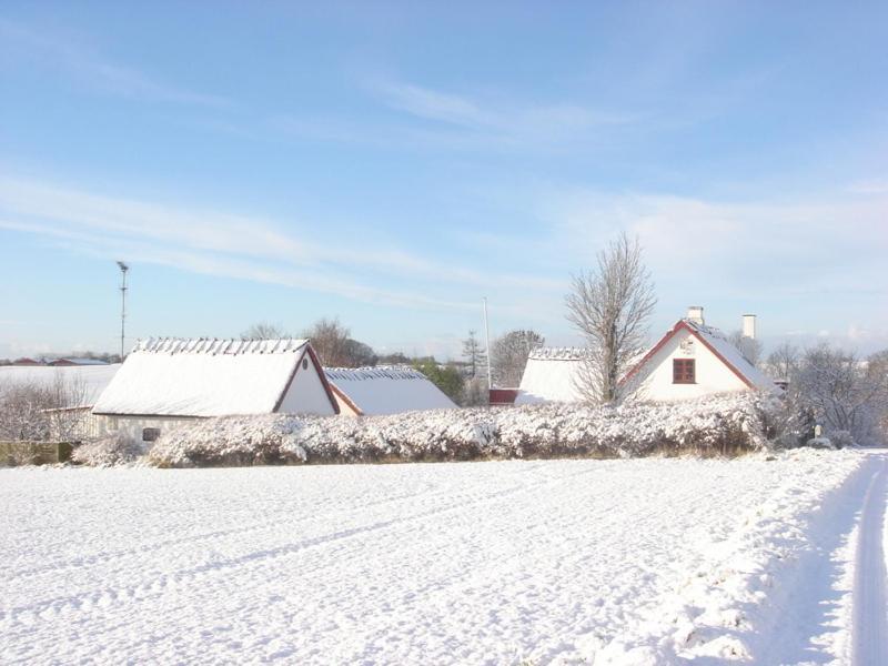 Bulbrovejs Bed & Breakfast Havdrup Bagian luar foto