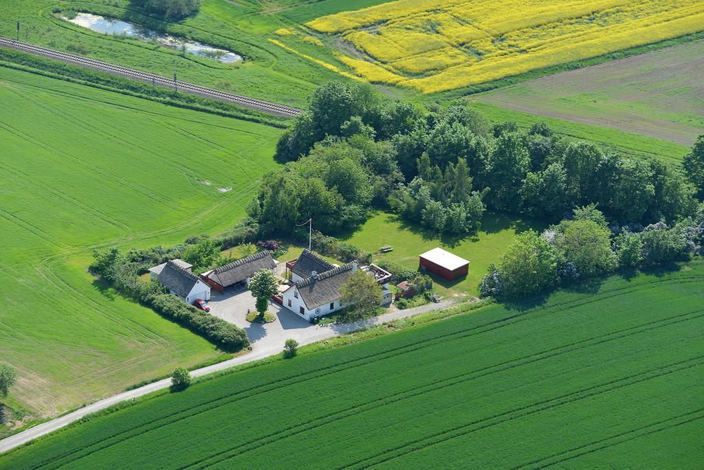 Bulbrovejs Bed & Breakfast Havdrup Bagian luar foto