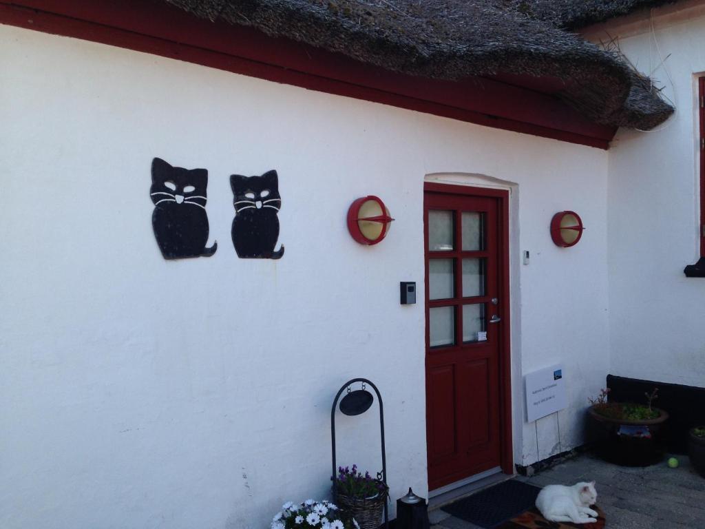 Bulbrovejs Bed & Breakfast Havdrup Bagian luar foto