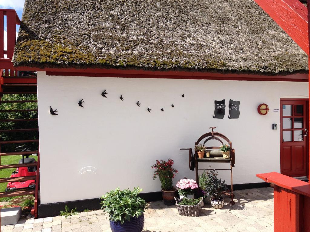 Bulbrovejs Bed & Breakfast Havdrup Bagian luar foto